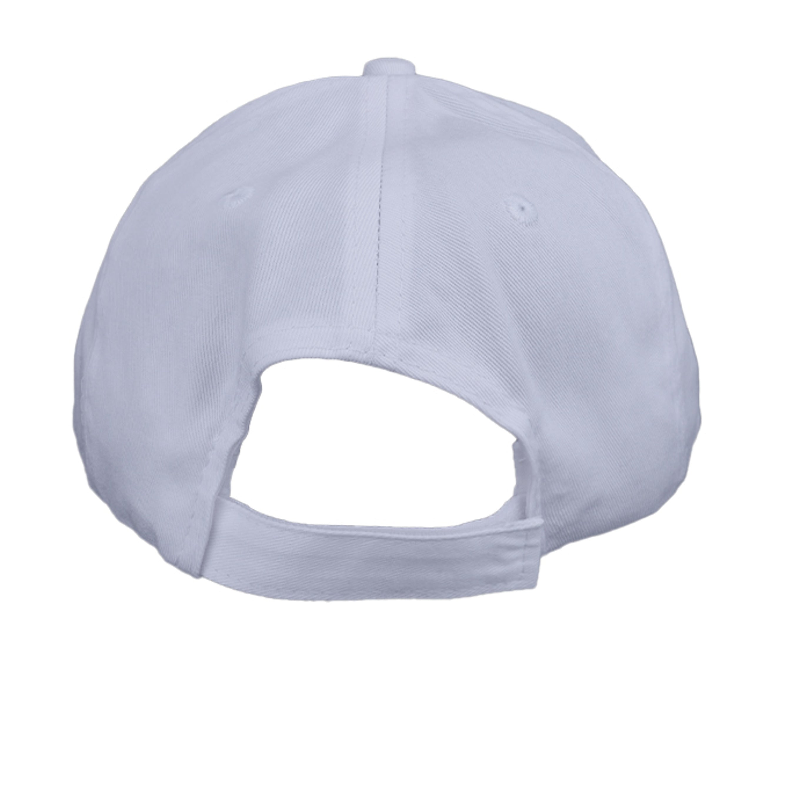 Silver - CP80 - BACK
