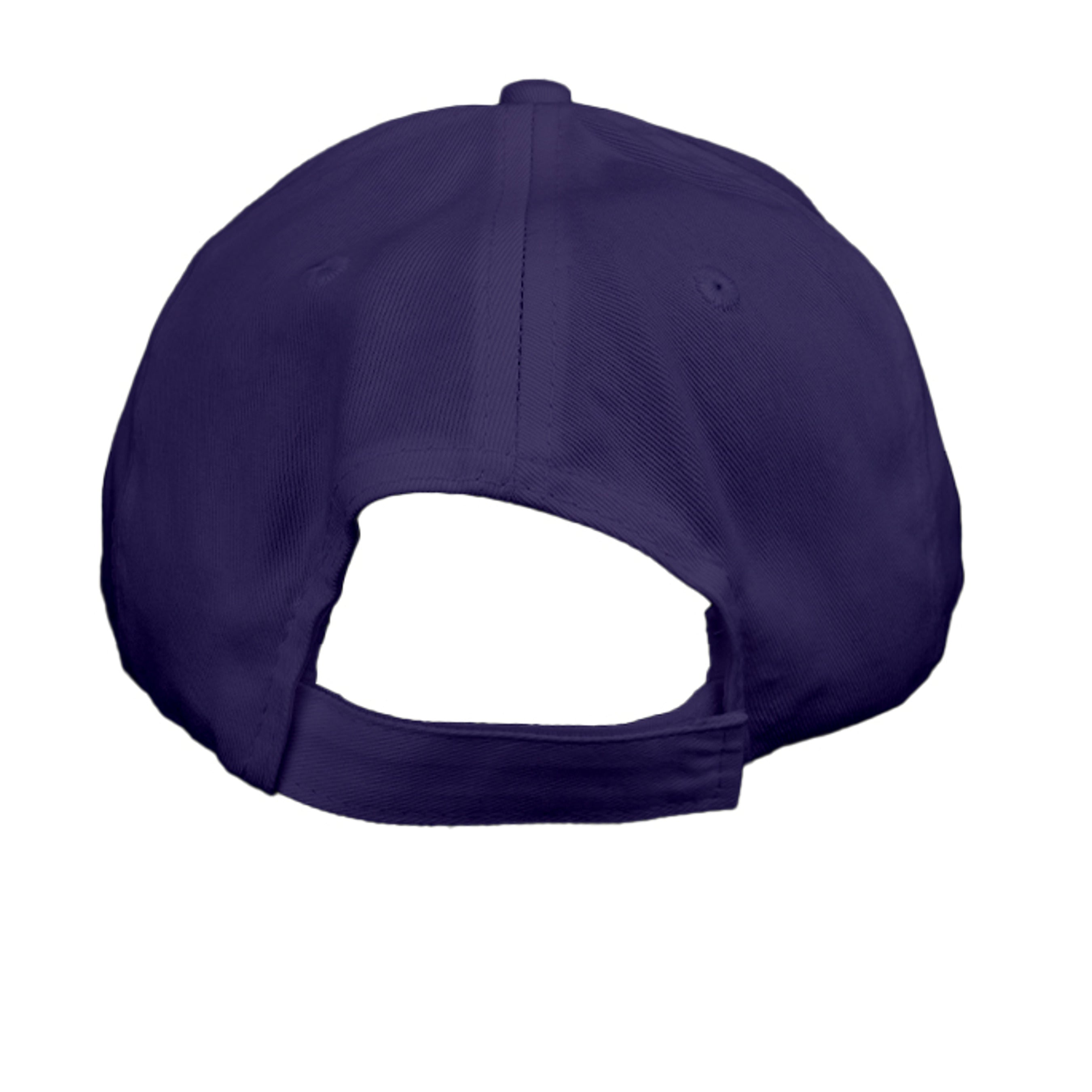 Purple - CP80 - BACK